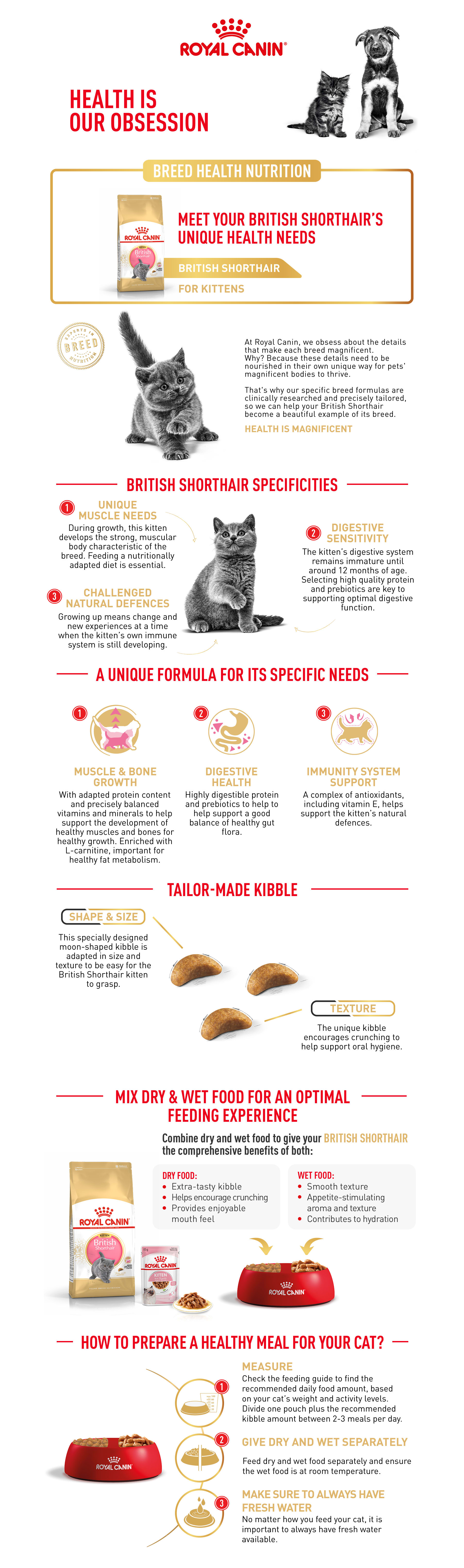Royal canin sale shorthair kitten